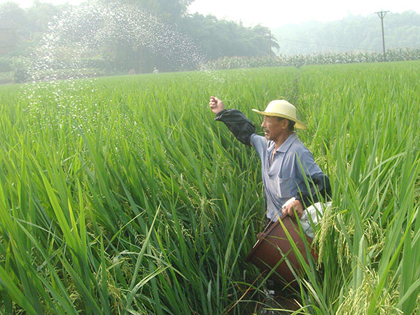 科学施肥防止肥害发生
