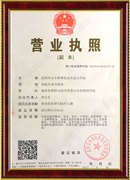 武冈市乐生种养农民专业合作社,武冈种养合作社,乐生合作社,油茶种植,玉竹种植,吴茱萸种植,散养土鸡