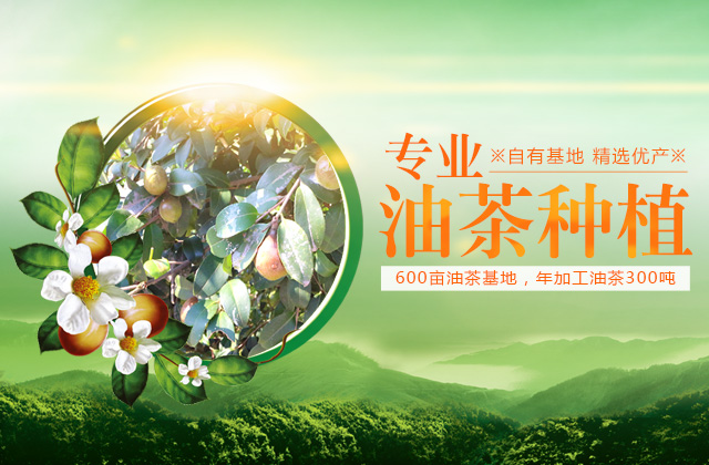 武冈市乐生种养农民专业合作社_武冈种养合作社|乐生合作社|油茶种植